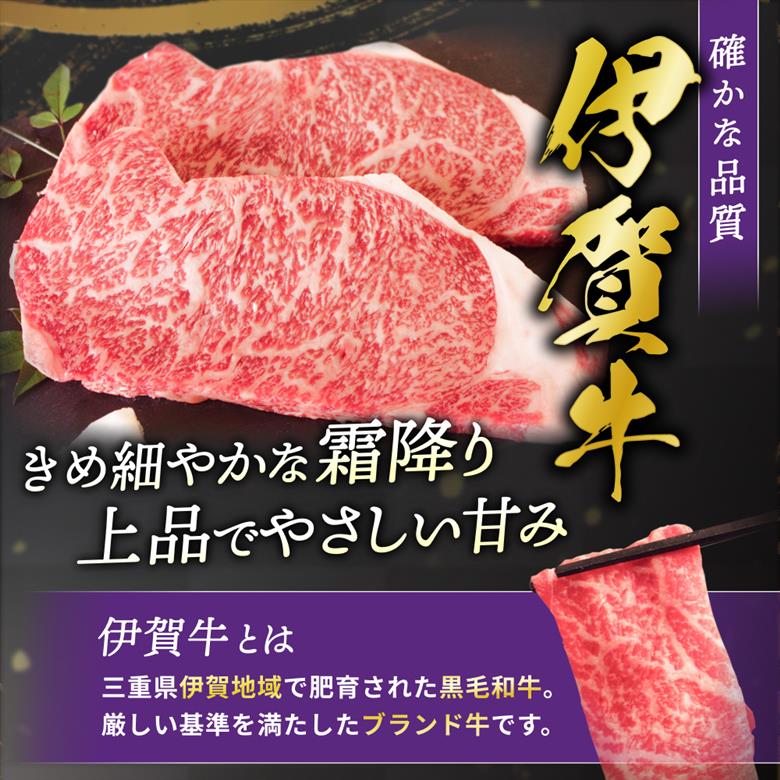 伊賀牛小間切れ 600g（300g×2パック）【koma0025】