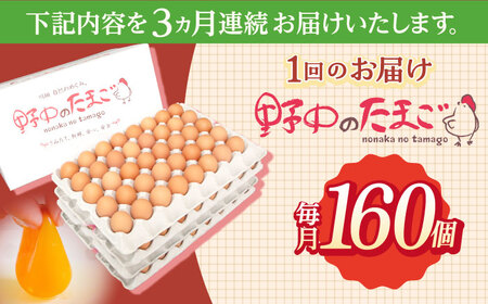 【3回定期便】産みたて新鮮たまご 野中のたまご 160個[OAC010]