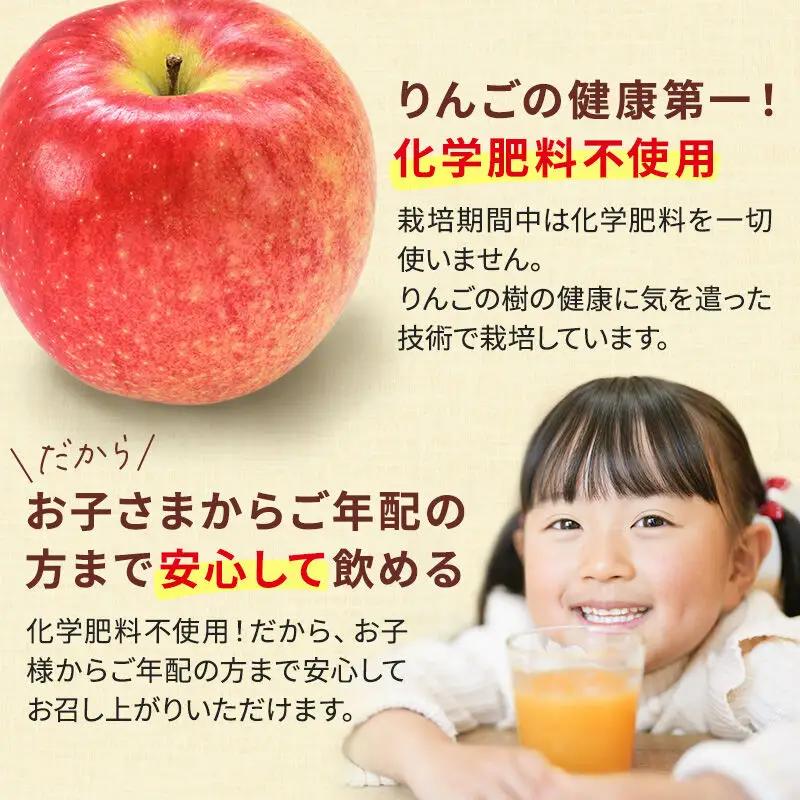 無添加りんごジュース（サンふじ） 185g×10パック×10箱 リンゴジュース