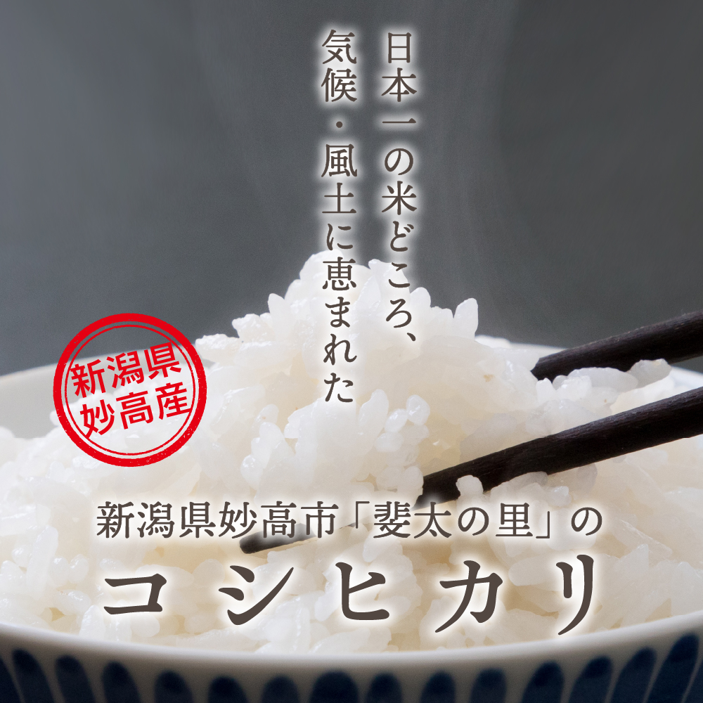 2025年6月中旬発送【令和6年産米】新潟県妙高産斐太の里コシヒカリ「旬」5kg　