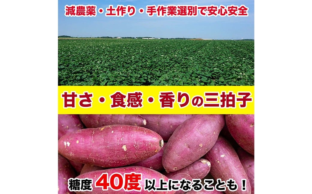 訳あり さつまいも 約5kg  サツマイモ さつまいも 芋 イモ 焼き芋 スイーツ 5kg 【2026年10月上旬～11月下旬発送予定】