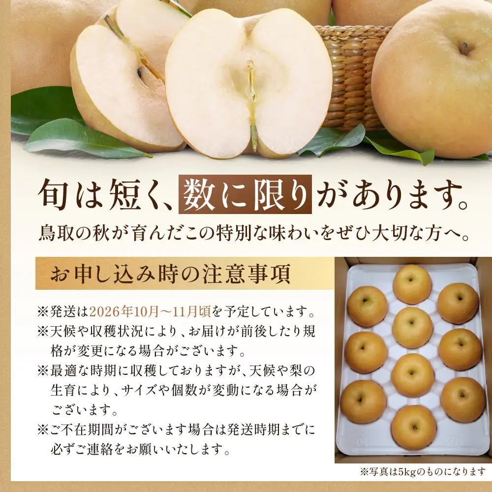 【2026年10月頃より発送】岸田秀果園 新興梨(ギフト用) 5kg