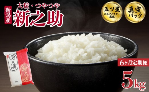 【5kg定期便】 6か月 新之助 真空パック 5kg 令和7年産 米 五つ星お米マイスター 新潟県産 新発田産 しんのすけ 備蓄 非常 防災 長期保存 アウトドア ごはん ご飯 お米 米 こめ 新潟県 新発田市 三糧定期便 sanryo016