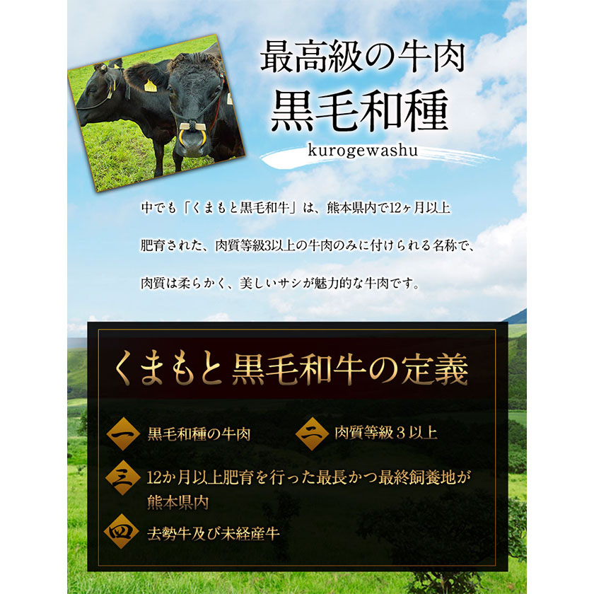 牛肉 【6ヶ月定期便】くまもと黒毛和牛 すき焼き用 500g 《お申込み月の翌月から出荷開始》 南阿蘇食品---sms_fkmkgsktei_23_113000_mo6num1---