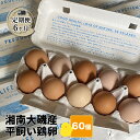 【ふるさと納税】【定期便6ヶ月】 湘南大磯産平飼い鶏卵 60個＜2024年12月1日出荷開始　6ヶ月連続でお届け＞【 たまご 神奈川県 大磯町 】