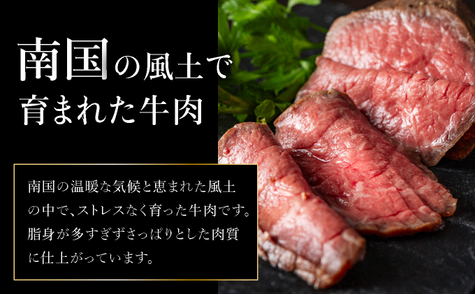 【順次発送】【注目の逸品】極上ローストビーフ 石垣島産《黒毛和牛》 200g  |和牛 牛肉 冷凍  丼 ジューシー 人気 おすすめ 国産 国産牛 小分け 八重山食肉センター YC-5