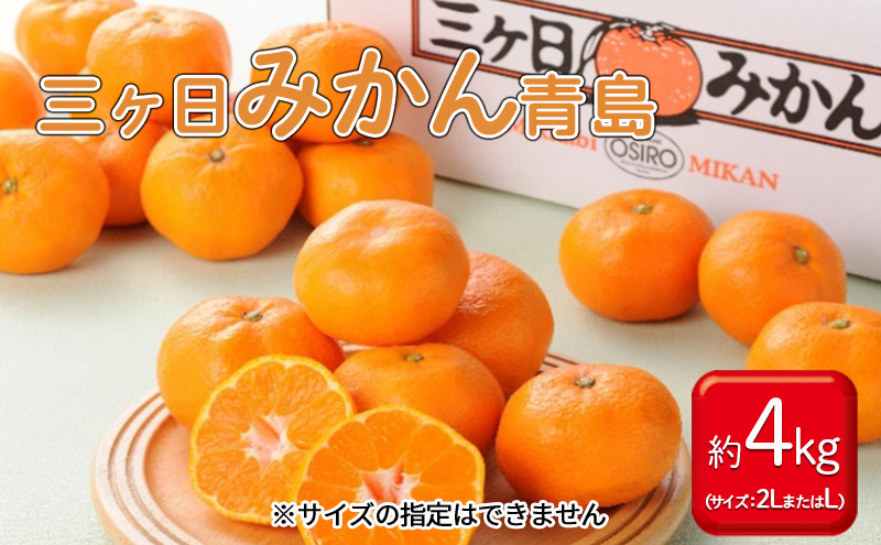 
【2025年1月中旬より順次発送】三ヶ日 みかん青島 約 4kg（サイズ：2LまたはL） [№5786-5344]
