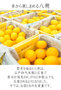 訳あり 八朔 約10kg 大小混合 サイズ不選別 【北海道・沖縄県・一部離島 配送不可】 海南市産 まごころ産直みかん 木成り 完熟はっさくフルーツ 和歌山 国産 産地直送［Mg69］
