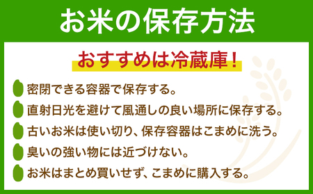 白米 5kg さこんたろう《90日以内に発送予定(土日祝除く)》熊本県 御船町 コメ おこめ 白米 ごはん 熊本県産