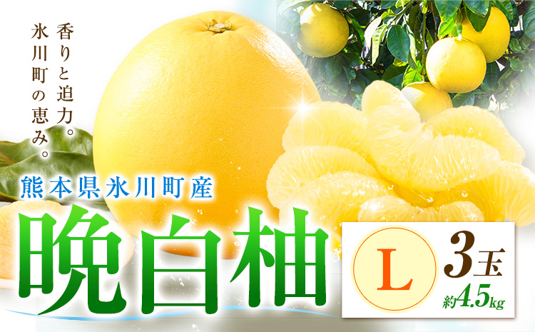 柑橘 晩白柚 L 3玉 4.5kg 日本フルーツ株式会社《12月上旬-2月末頃出荷》熊本県 氷川町 ばんぺいゆ 果物 フルーツ 大玉 爽やか 甘み 酸味 香り 常温保存 柑橘類 冬 果肉 プリッ 食べ応え