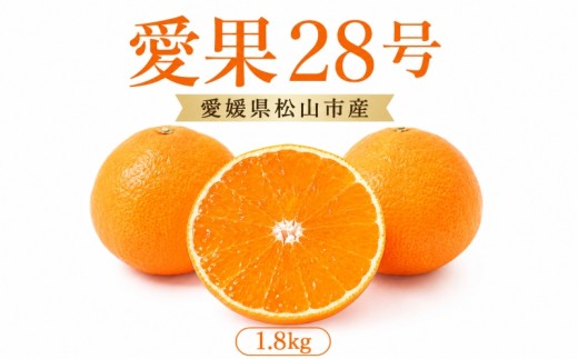 【2026年11月下旬頃より順次発送】約1.8kg 愛果28号 8～10個  | みかん 紅まどんなと同品種 家庭用 愛媛果試28号 松山 ミカン mikan フルーツ 果物 くだもの あいか 農家直送 1.8キロ 数量限定 期間限定 柑橘 愛媛県 松山