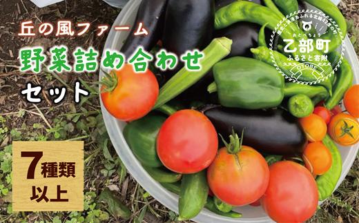 ＜丘の風ファーム 野菜詰め合わせセット＞