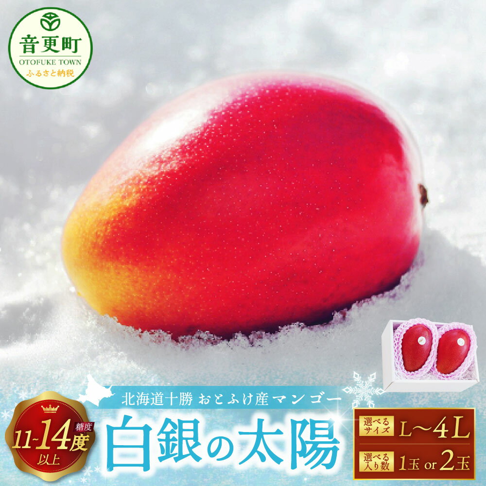 【ふるさと納税】【先行受付】おとふけ産マンゴー「白銀の太陽」＜選べるサイズ・入り数＞ Lサイズ×1玉～2玉／ 2Lサイズ×1玉～2玉／ 4Lサイズ×1玉～2玉【2025年11月上旬より発送開始予定】完熟マンゴー マンゴー 糖度11度以上 北海道 音更町 送料無料