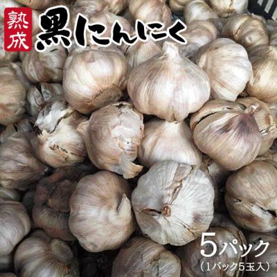 ふるさと納税 糸島市 熟成 黒 にんにく ( 5パック ) 《糸島》【シーブ】[AHC003]