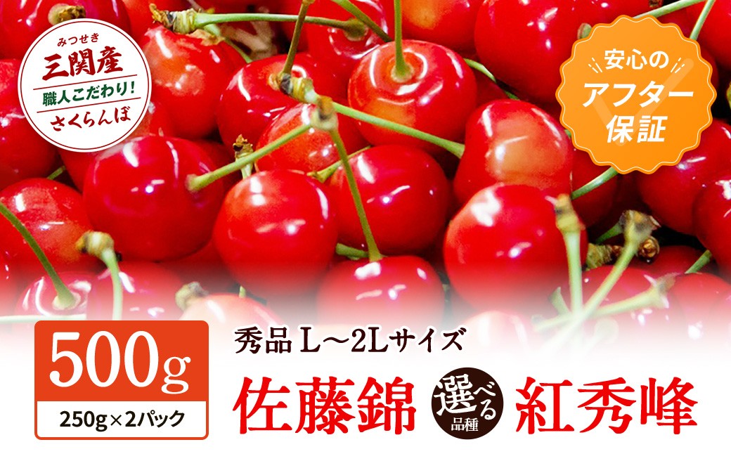 
                  ＼佐藤錦6/24まで・紅秀峰6/28まで受付／職人が本気で作ったこだわりのさくらんぼ！秋田県三関（みつせき）産＼品種・配送方法が選べる／佐藤錦 / 紅秀峰 500g 秀品 L～2L 常温 / 冷蔵 朝採れ 産地直送 【6月中旬から発送開始予定】 ふるさと納税 さくらんぼ 果物 [B3-3201-oya]
                
