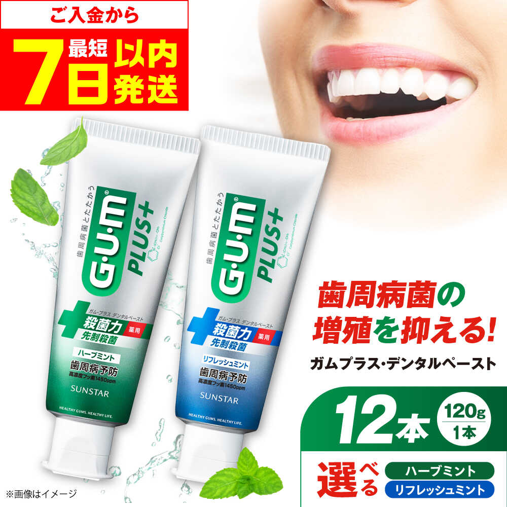 【ふるさと納税】【最短7日以内発送】【選べるフレーバー】ガム・プラス デンタルペースト 120g×24本 歯磨き はみがき ハミガキ 歯磨き粉 歯みがき粉 歯ブラシ ハブラシ 薬用 医薬部外品 歯周病 日用品 虫歯 口臭 矯正 大容量 人気 定番 大阪府高槻市/サンスター[AOAD028]