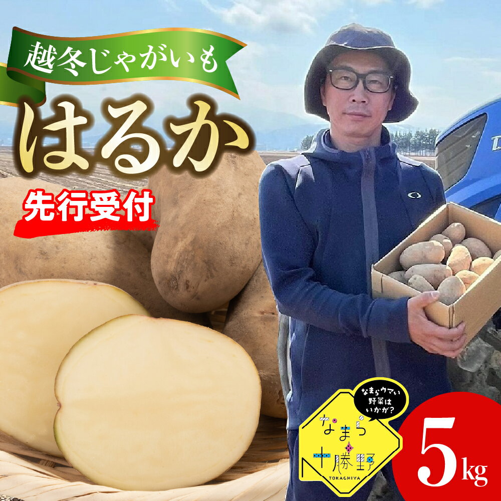 【ふるさと納税】【先行予約】【2026年4月より順次発送】なまら十勝野 越冬じゃがいも はるか 5kg 芋 ジャガイモ ポテト イモ いも 産地直送 新鮮 野菜 常温配送 送料無料 北海道 十勝 芽室町