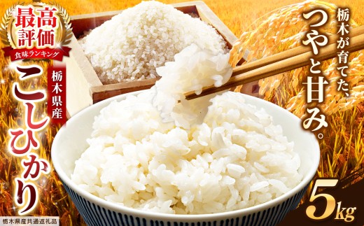 【栃木県共通返礼品】栃木県産コシヒカリ 白米 5kg | コシヒカリ こしひかり コメ お米 米 白米 栃木県産 ご飯 飯 御飯 主食 kome 栃木県 那珂川町 送料無料