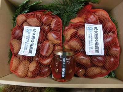 【数量・期間限定】低温追熟和栗1.8Kgと自園の栗蜂蜜セット※離島への配送不可 ※2025年10月中旬頃より順次発送予定 _BF13