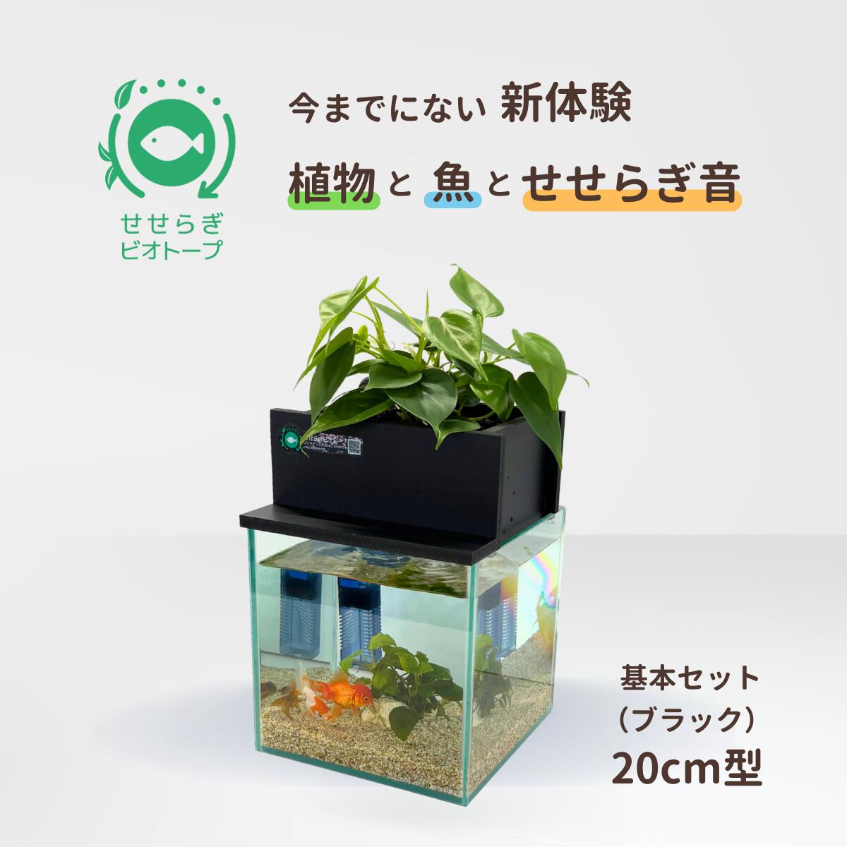 【ふるさと納税】せせらぎビオトープ　20cm型基本セット※2025年3月20日まで北海道への発送不可（低温で商品が枯れるため）