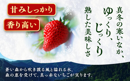 石川農園 完熟いちご 4パック入り(ご家庭用) 産地直送 イチゴ 苺 フルーツ 恵那市 / クリエイティブファーマーズ[AUAH020]