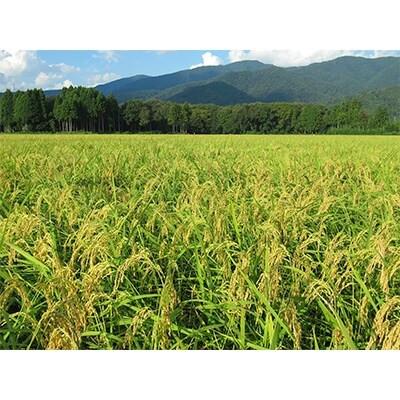 ふるさと納税 長浜市 滋賀県産 JAS有機オーガニック コシヒカリ 玄米10kg 令和7年産 |  | 01