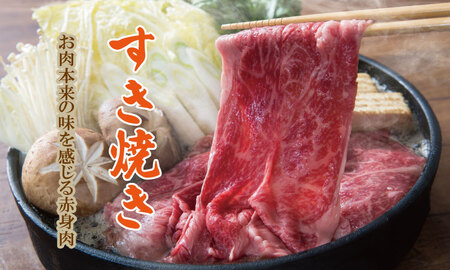 佐賀産和牛モモスライス赤身肉（500g）潮風F  B155-002