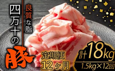 【定期便12回】高知県産 ブランドポーク 豚肉 切り落とし 計18kg（1.5kg×12ヶ月連続お届け) 2Jコース | 肉 豚肉 国産豚肉 高知県産豚肉 豚肉 大容量 豚肉 しゃぶしゃぶ 豚肉 バラ肉 小分け 小間切れ スライス 切り落とし 冷凍 真空パック 簡単調理 細切れ 大容量 肉 高知県 須崎市 TM38000