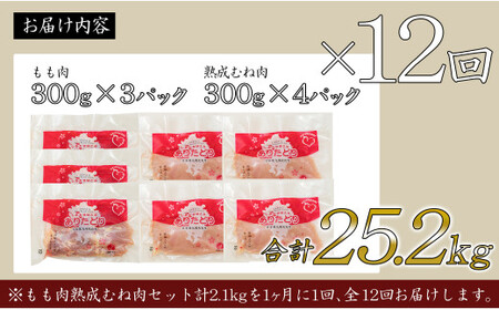 N140-3 【12回定期便 総計25.2kg】 ありたどり もも肉 熟成むね肉 セット 計2.1kg (300g×7パック) 12回 定期便 鶏肉 むね肉 ムネ肉 胸肉 真空パック