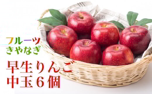 【予約受付 2025年産 9月中旬～発送開始予定 】北上産 果汁たっぷり 早生りんご 中玉6個 フルーツ 林檎 国産 岩手県 北上市 B0242 フルーツきやなぎ