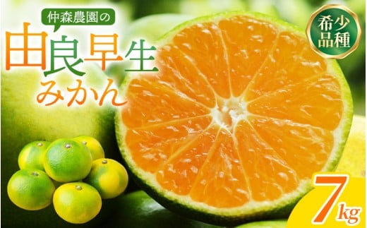 【数量限定】仲森農園の由良早生みかん 約7kg みかん ミカン 蜜柑 温州みかん 温州ミカン ゆら早生 柑橘 フルーツ 果物 くだもの 早生 甘い 旬 希少 数量限定 期間限定 産地直送 三重県 熊野市【2026年11月上旬頃～11月中旬頃に順次発送】【nkmr0021】