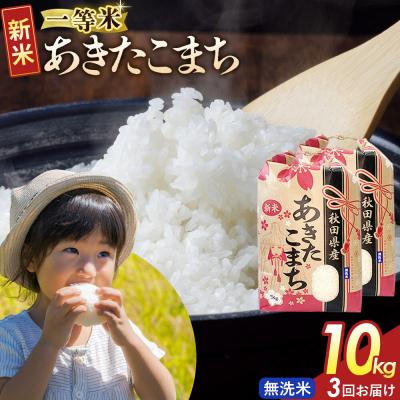 ふるさと納税 大仙市 定期3ヶ月 無洗米 あきたこまち 一等米 10kg 秋田県 R8年|22_kml-021003s