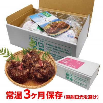 ふるさと納税 川場村 【贈答用】川場村産《生芋こんにゃく》セット(小)