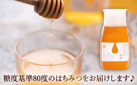【3回定期便】 自慢のそよご蜜 300g 瑞浪市 / 堀養蜂園 はちみつ 蜂蜜 国産[AZCF010]