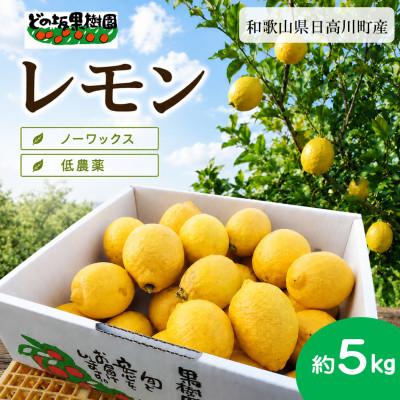 ふるさと納税 日高川町 【低農薬・ノーワックス】国産レモン 5kg/和歌山県日高川町産