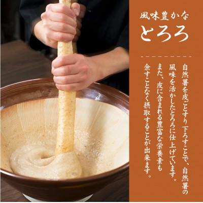 ふるさと納税 小田原市 自然薯生とろろ 5パックセット(100g×5p)　味付無・小分け・冷凍 |  | 01