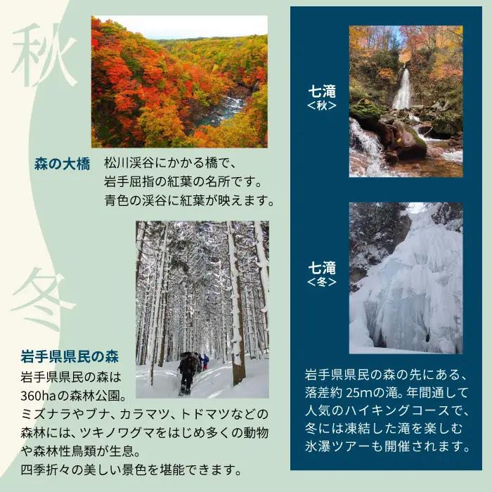 八幡平市共通宿泊補助券 （10000円相当） ／ 選べる 宿泊施設 共通 宿泊 宿泊補助券 補助券 宿 お宿 ホテル 温泉 温泉宿 温泉旅館 旅館 民宿 ペンション トラベル 旅行 旅 観光 観光旅行