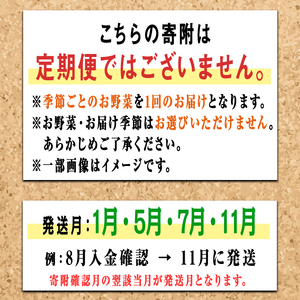 野菜セット コトコトファーム 旬の有機栽培野菜セット 有機JAS 詰め合わせ 旬 季節 【野菜セット】【ho1602】
