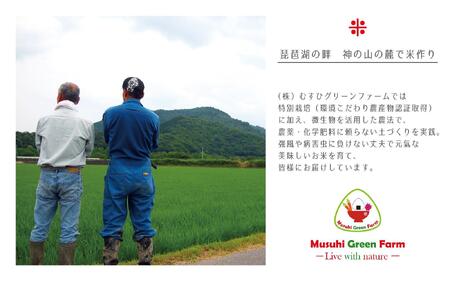 【米粉】パン・製菓用ミズホチカラ（特別栽培）500g入4袋セット