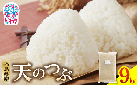 福島県産天のつぶ9kg×1袋 | 福島県産 米 精米 食味ランキング 産地直送 ふるさと納税 返礼品 送料無料 ブランド米 日本米 東北米 つや 旨味 甘み 香り 粘り コシ もちもち 天のつぶ R7年産 | FU006-9kg
