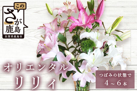 【生産者直送】【幸せと笑顔を届けるオリエンタルリリィ（4～6本）】 ユリ 百合 花 切り花 フラワー 艶やか 美しい 華やか 可憐 鮮やか 長持ち 強い 有機肥料 自然 人気 ラッピング プレゼント 贈り物 贈答 佐賀県 鹿島市 送料無料 B-313