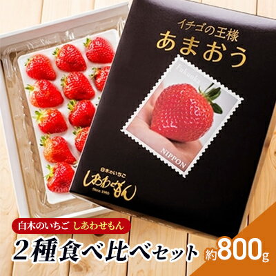 【ふるさと納税】いちご 2種 食べ比べ セット いちご職人 白木のいちご あまおう 化粧箱 1箱 旬のいちご 化粧箱 1箱 イチゴ 苺 果物 デザート ※配送不可：沖縄・離島　お届け：2026年2月上旬～4月下旬まで