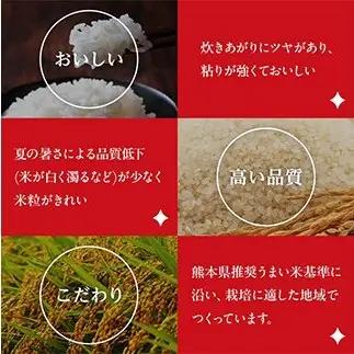 FK7-0273_【4カ月定期】【嘉島町産】くまさんの輝き 10kg 米 お米 コメ ごはん ご飯 食品 九州 熊本県 熊本 嘉島