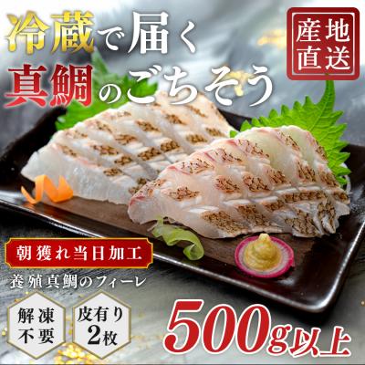 ふるさと納税 大月町 【先行受付】 朝獲れ 真鯛 フィーレ 皮付き 500g以上 刺身 冷蔵 養殖 たい タイ マダイ セ