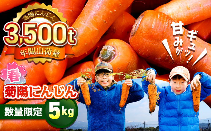 【数量限定】菊陽町の春にんじん 5kg / 人参 にんじん ニンジン 菊陽にんじん 春にんじん 5キロ 野菜 熊本県 菊陽町 【有限会社さんふれあ】 [BHAK001]