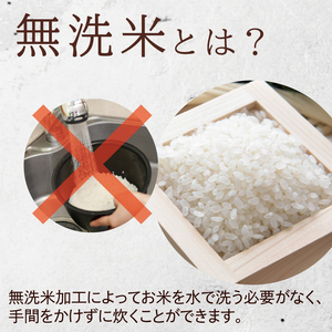 令和6年産無洗米茨城コシヒカリ5kg×2【お米 こめ 米 こしひかり 無洗米 茨城県 茨城県産】（LL-2）