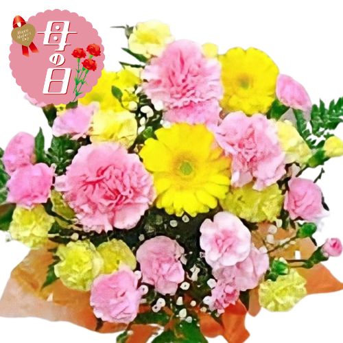 【ふるさと納税】 【先行予約】 母の日に！ 生花 アレンジメント B ピンク 系 花 贈り物 お祝い 植物 季節 生花 フラワー ギフト 母の日 2026年5月から順次発送 オンライン決済限定 静岡県 藤枝市