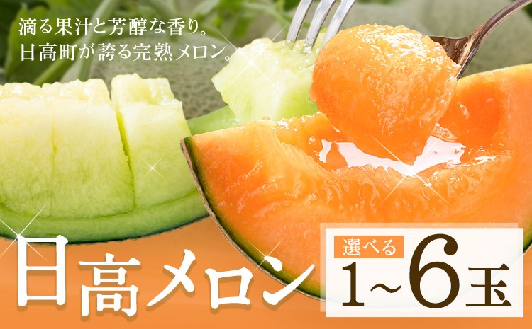 
                  日高メロン 選べる 1玉 2玉 4-6玉 約8-9kg のざわ農園 2026年 7月出荷 北海道 日高町産 赤肉メロン 青肉メロン 旬 果物 フルーツ めろん デザート 産地直送 お取り寄せ グルメ 贈り物 ギフト 贈答用 プレゼント 送料無料 《7月上旬-8月中旬出荷》
                
