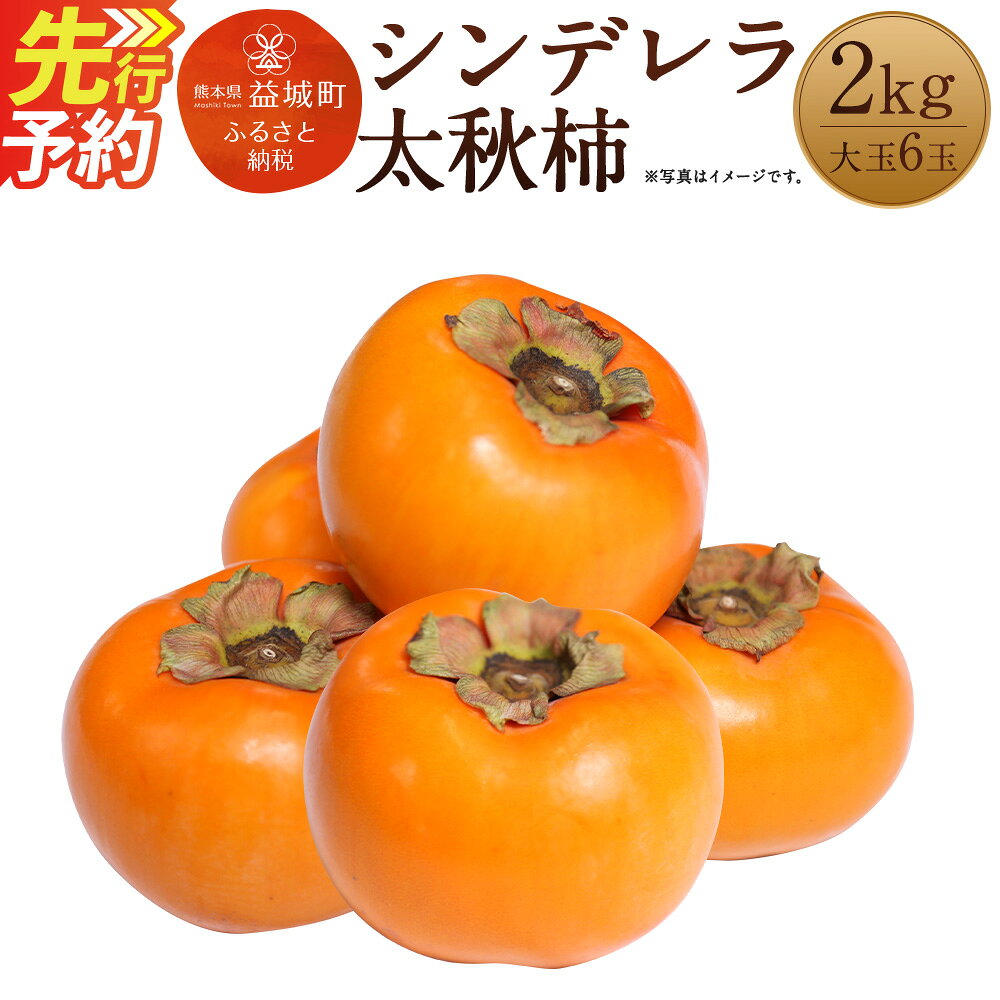 【ふるさと納税】シンデレラ太秋柿 2kg 大玉6玉 化粧箱入り 福馬果樹園 フルーツ 果物 国産 熊本県産 ギフト 贈り物 送料無料【2026年11月上旬～2027年1月上旬発送予定】
