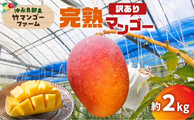 
            【2025年先行予約】竹マンゴーファームの完熟マンゴー約2キロ（訳あり）　C039-005-02
          